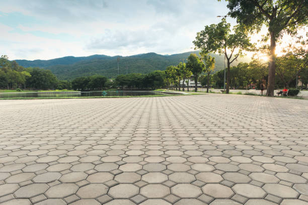 Best Permeable Paver Driveway  in Slaton, TX