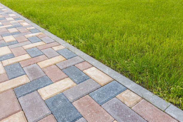 Best Driveway Paving Contractor  in Slaton, TX